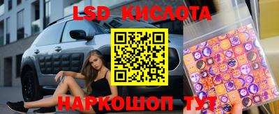 СК Рыбинск