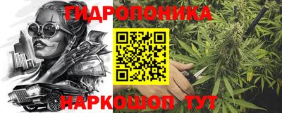 СК Рыбинск