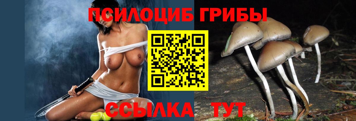 Псилоцибиновые грибы Cubensis  Вход с VPN  Омск 